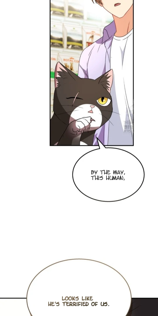 Hello! Veterinarian! chapter 51 page 56