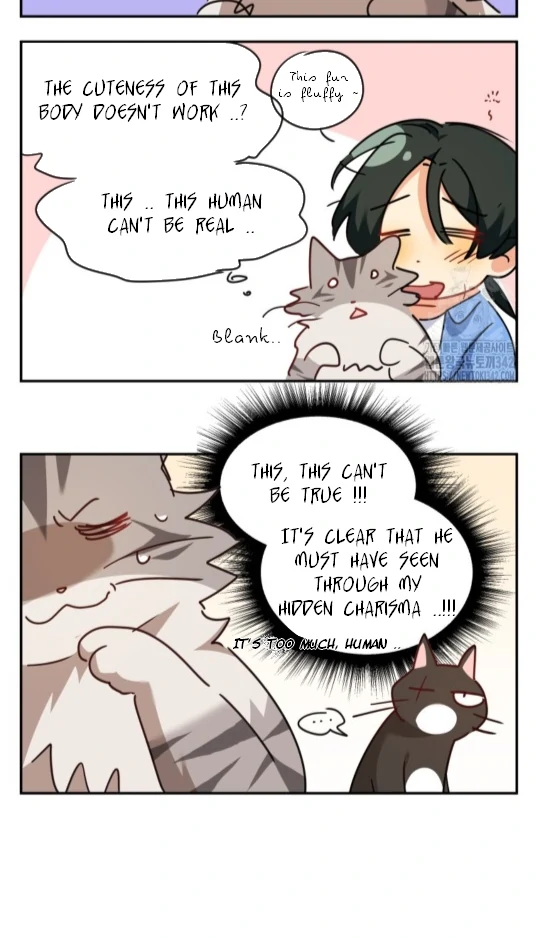 Hello! Veterinarian! chapter 51 page 92