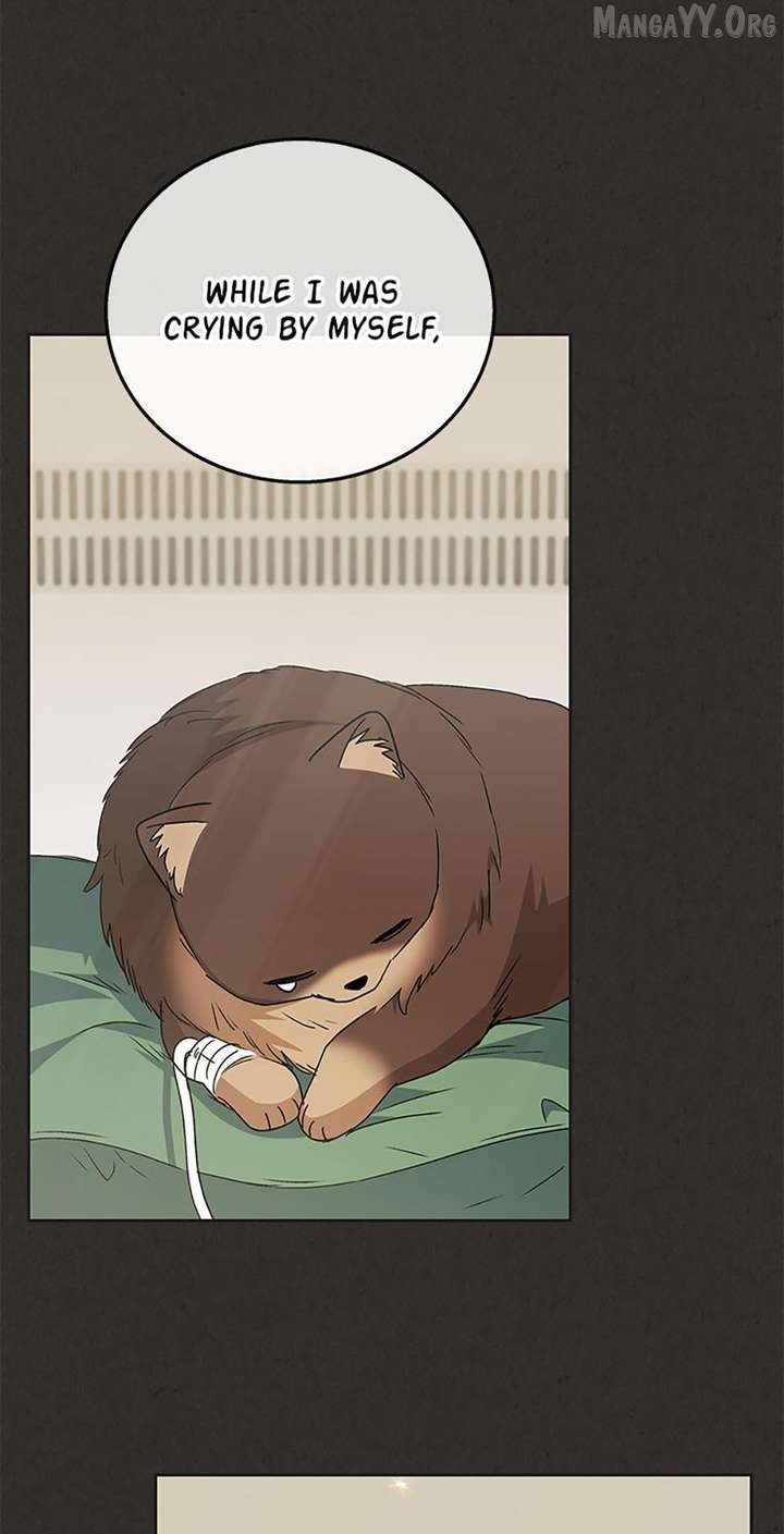Hello! Veterinarian! chapter 91 page 8