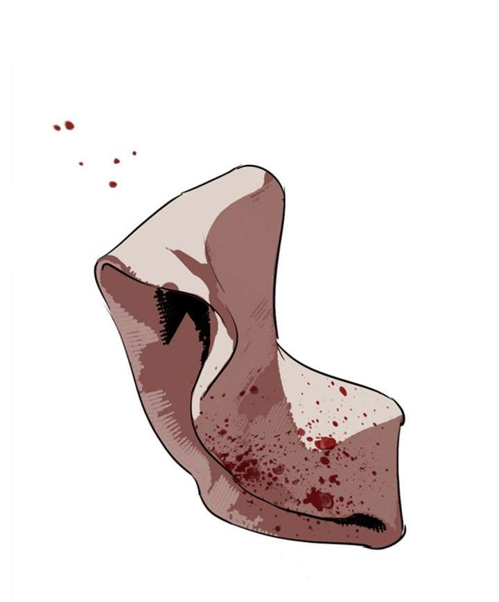 Lookism chapter 279 page 209