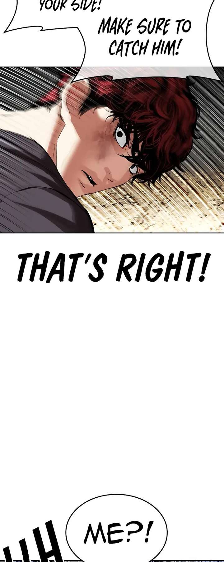 Lookism chapter 495 page 29