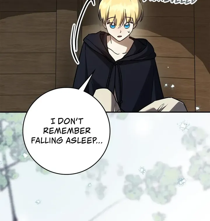 Once an Assassin, Now a Royal Nanny chapter 25 page 102