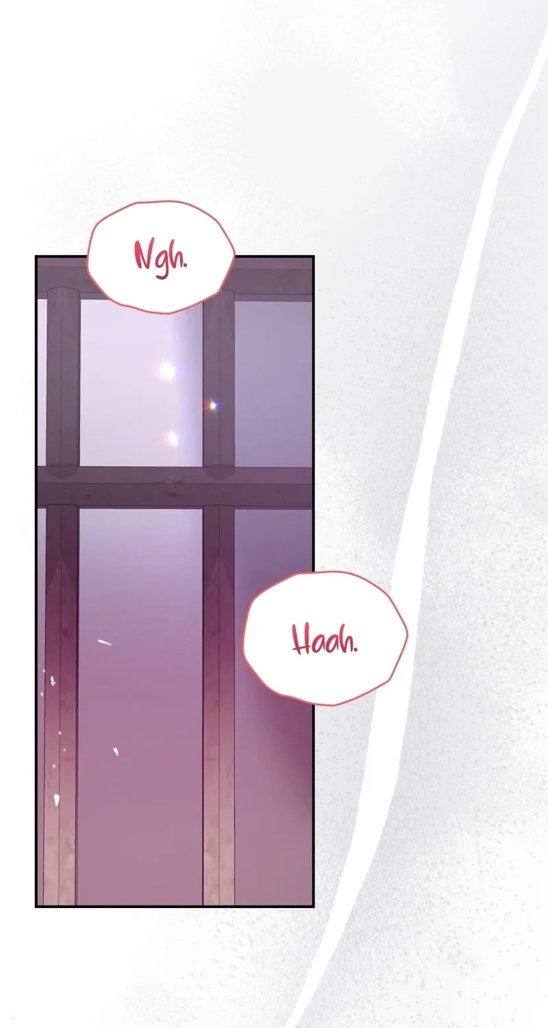Five Husbands Appeared on My Birthday chapter 0.1 page 3