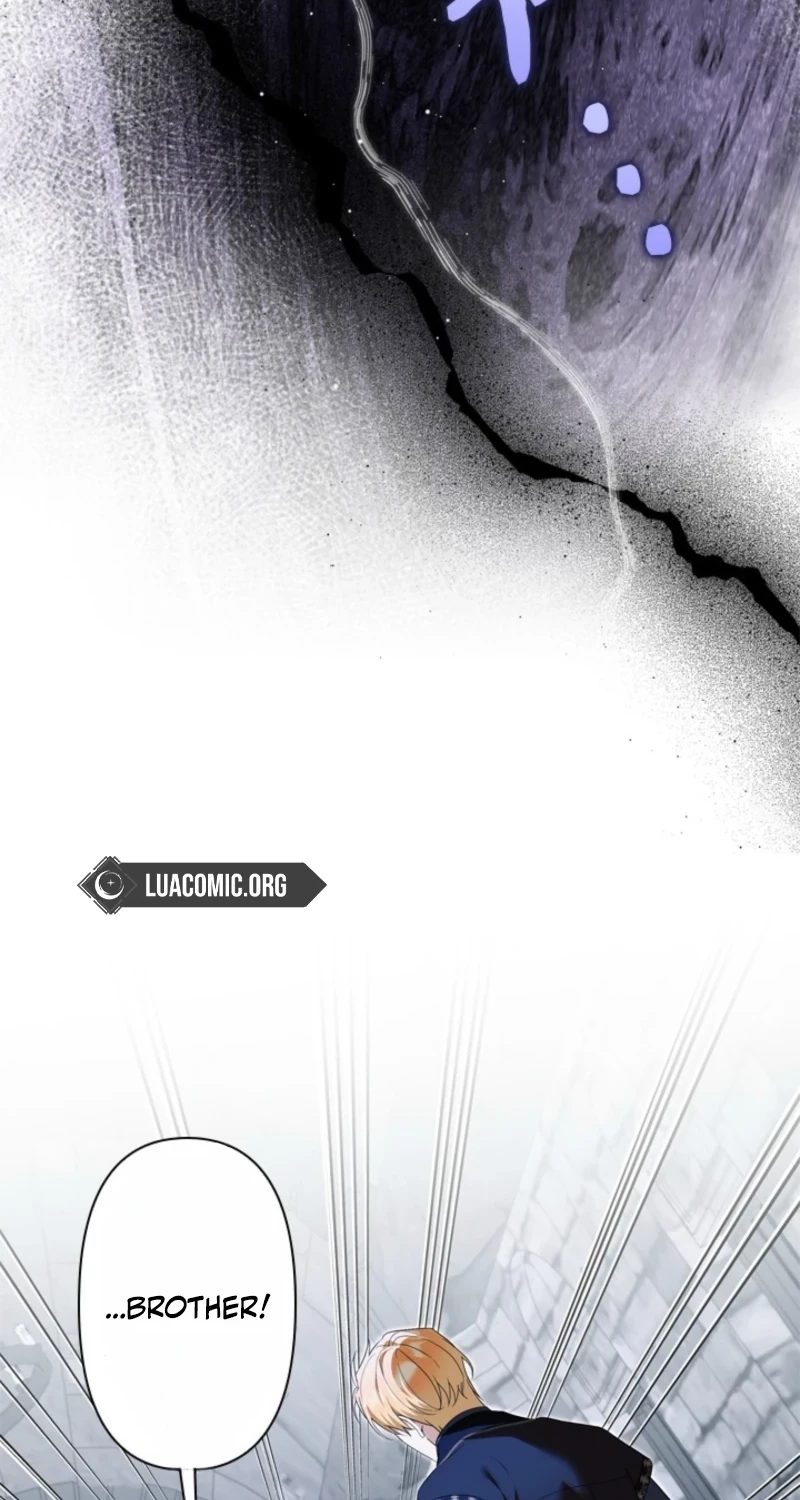 Protecting My Dangerous Handsome Brother chapter 41 page 47
