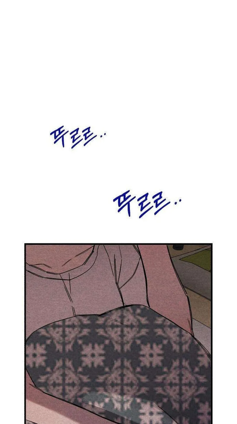 The Perfect Senior’s Secret! chapter 20 page 49