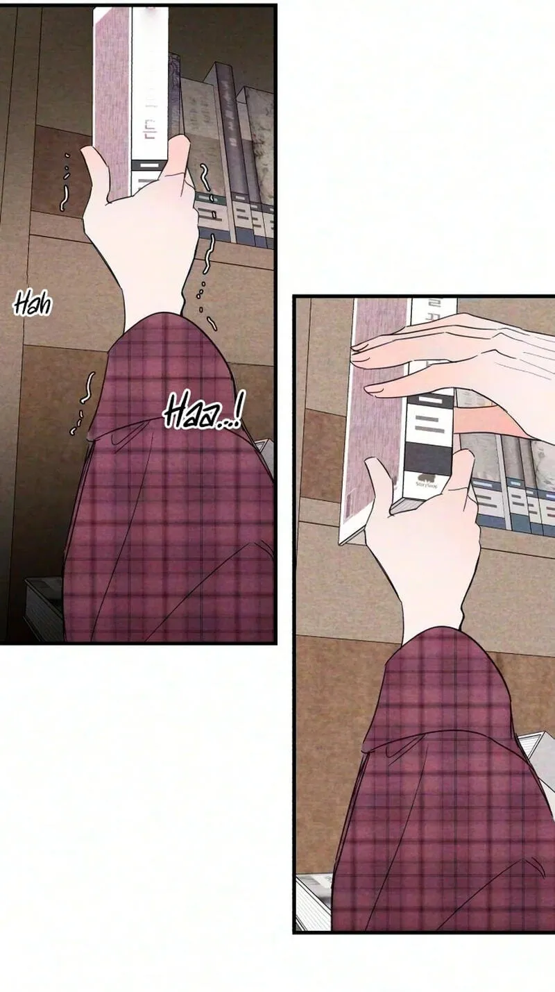The Perfect Senior’s Secret! chapter 22 page 55