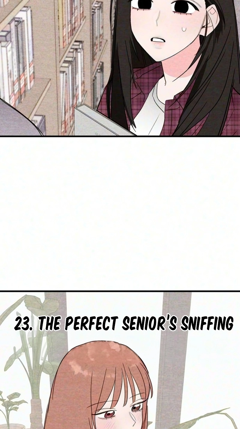 The Perfect Senior’s Secret! chapter 23 page 9