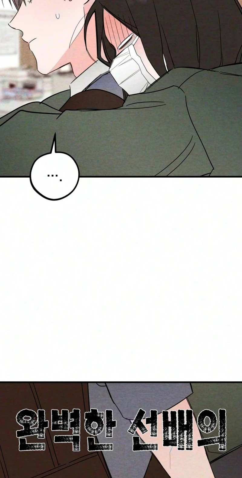 The Perfect Senior’s Secret! chapter 25 page 5
