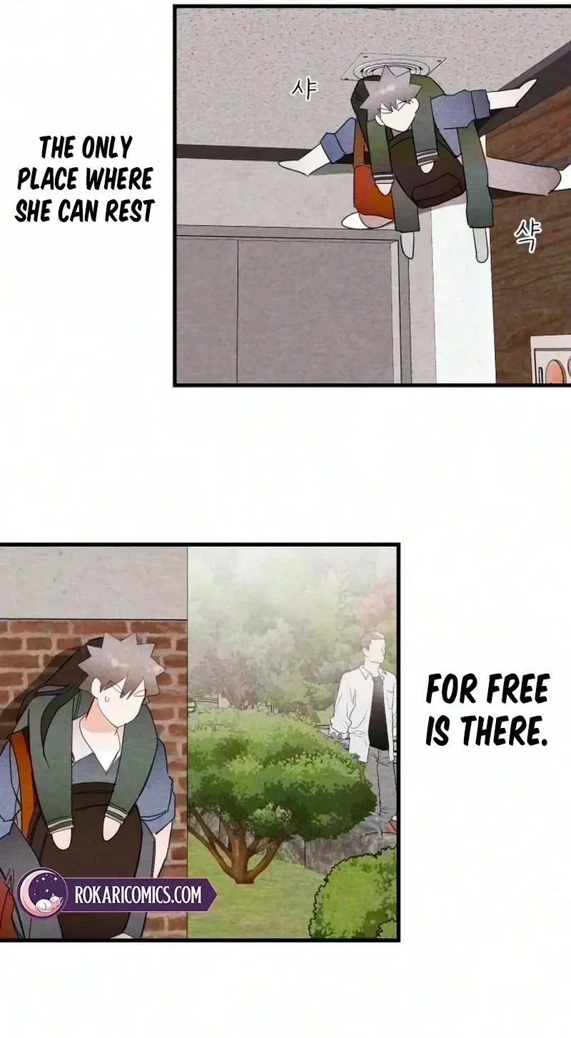 The Perfect Senior’s Secret! chapter 25 page 20