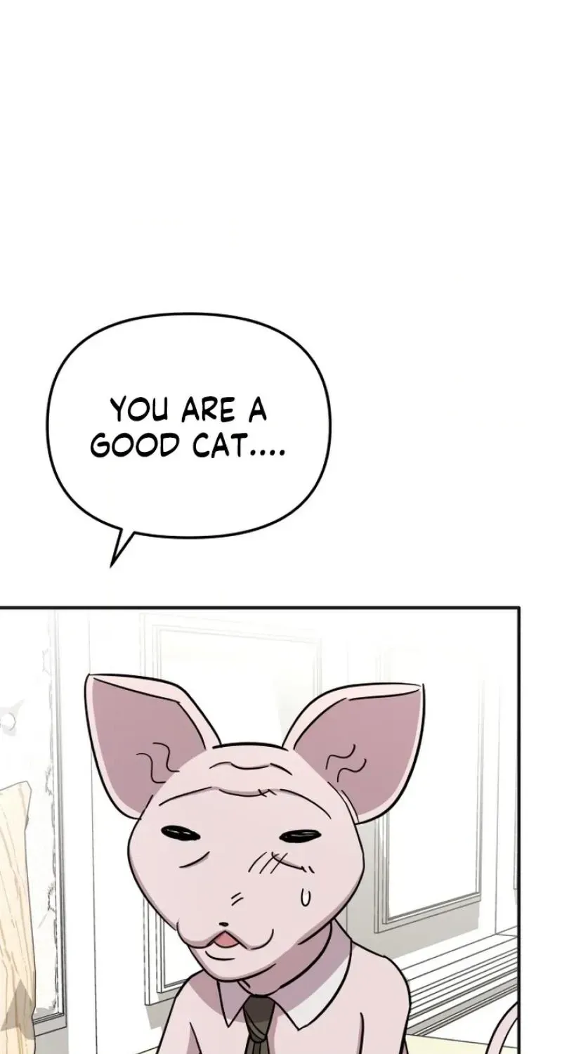 My Boyfriend is a Cat chapter 26 page 116