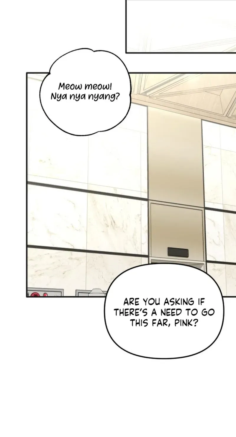 My Boyfriend is a Cat chapter 26 page 43