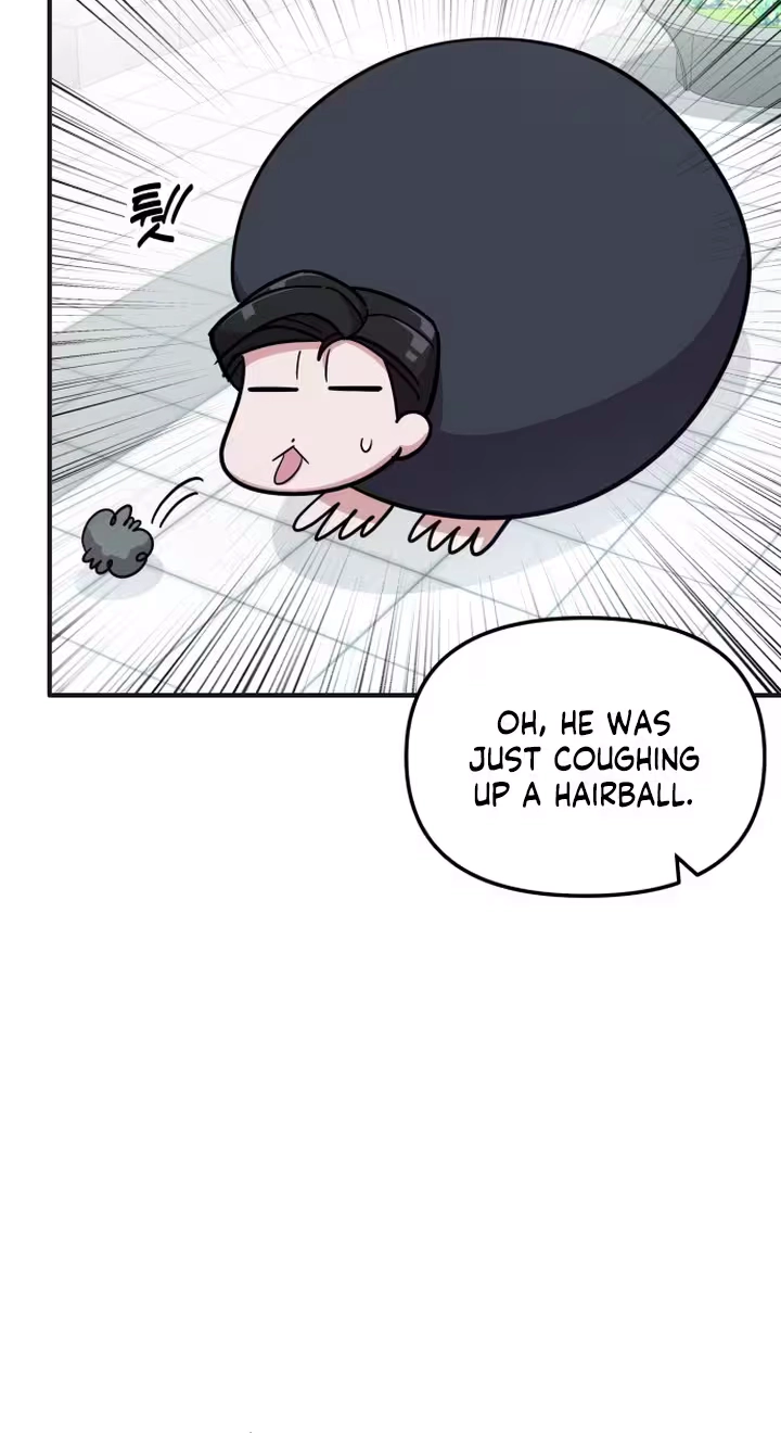 My Boyfriend is a Cat chapter 28 page 11
