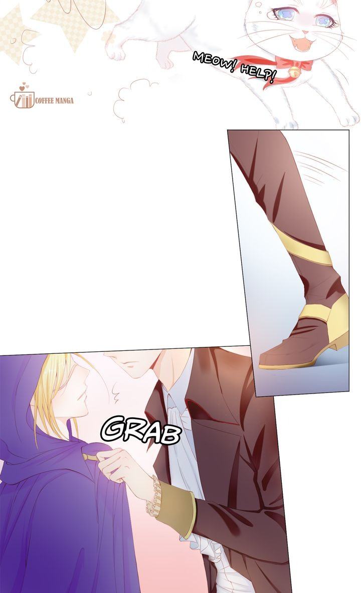 The Devil Duke’s Little Bride chapter 46 page 5