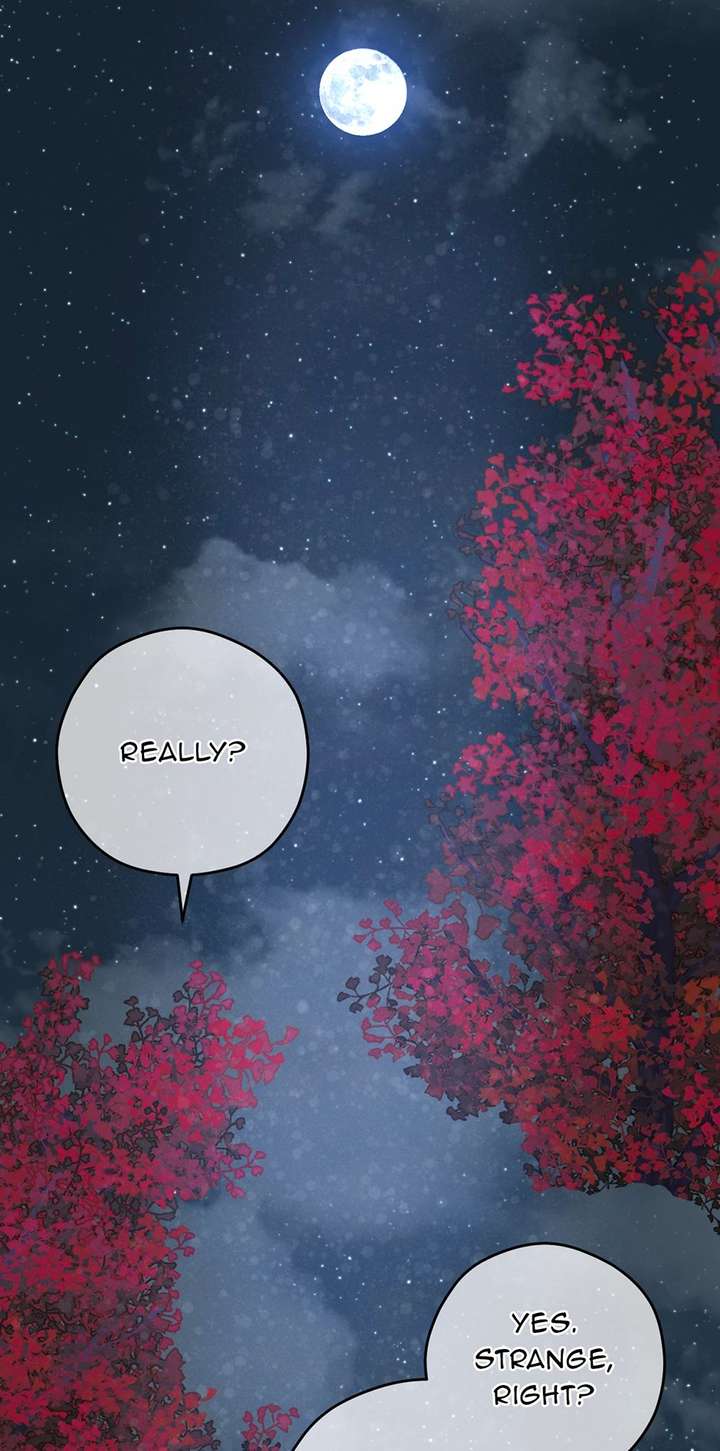 The Maid With A Dictator On A Leash chapter 52 page 42