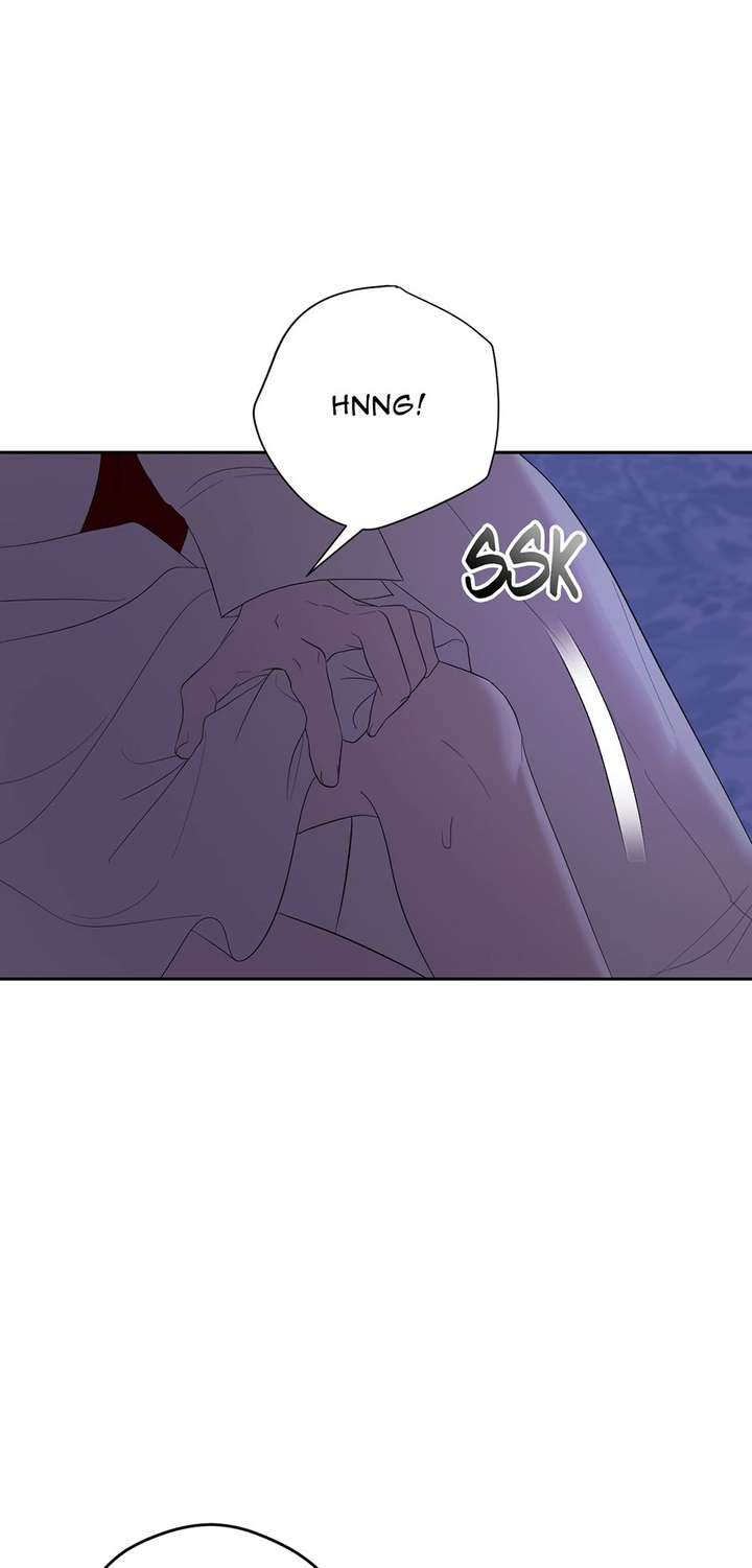 The Maid With A Dictator On A Leash chapter 53 page 65