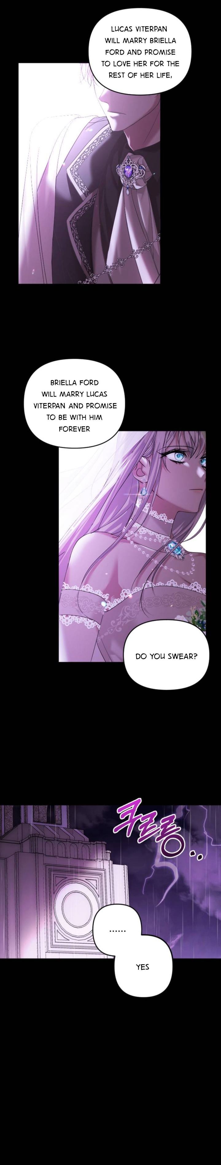 Marriage Alliance for Revenge chapter 1.1 page 3
