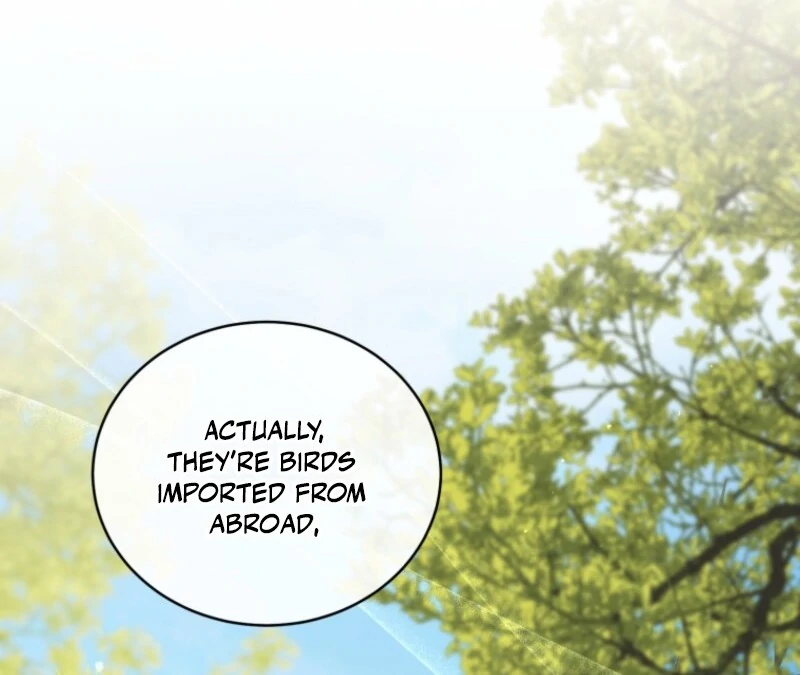 Honey, I Believe That’s Your Misunderstanding chapter 31 page 33