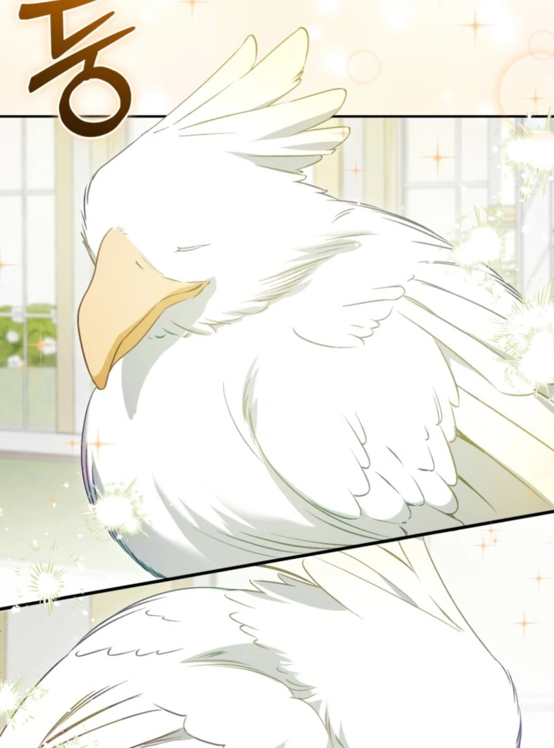 Honey, I Believe That’s Your Misunderstanding chapter 31 page 80