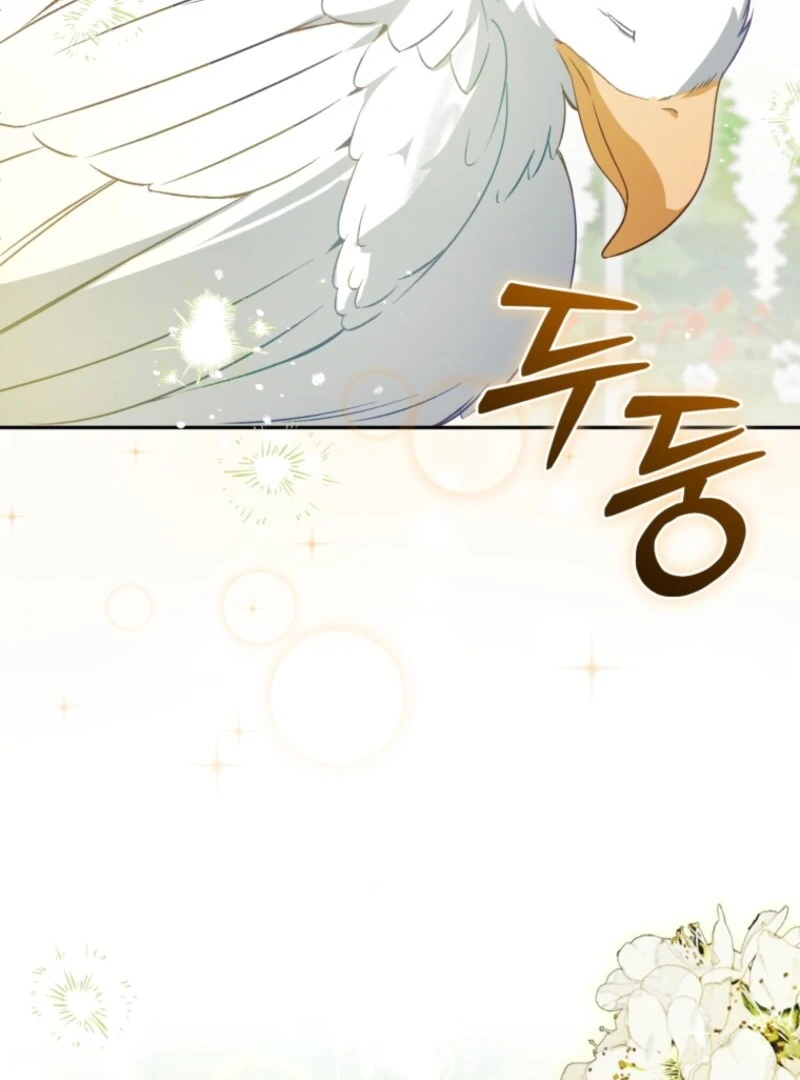 Honey, I Believe That’s Your Misunderstanding chapter 31 page 81