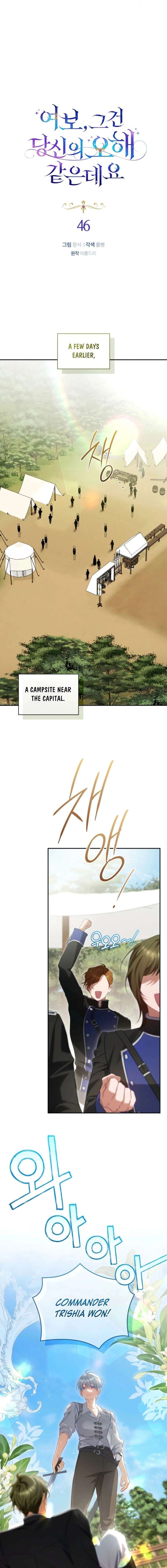 Honey, I Believe That’s Your Misunderstanding chapter 46 page 8