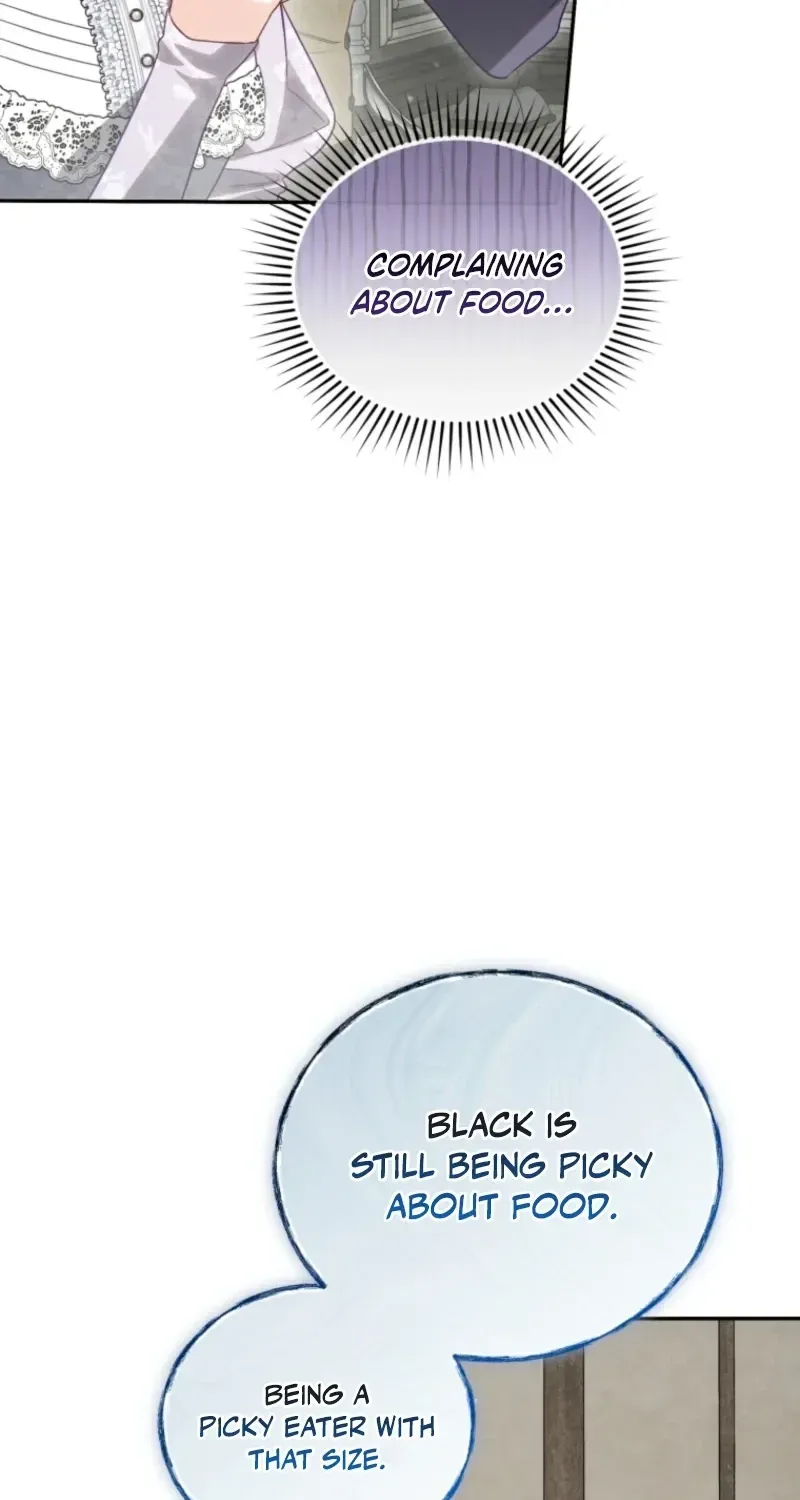 Honey, I Believe That’s Your Misunderstanding chapter 60 page 40