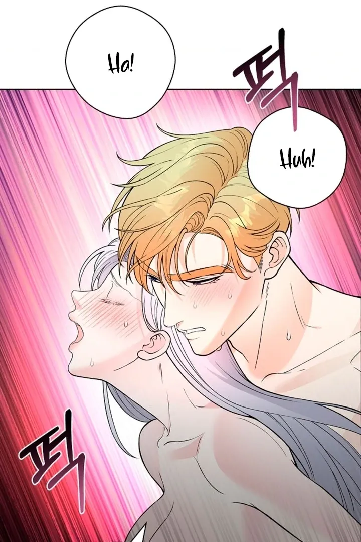 The Saintess’s Petals Become Wet chapter 11 page 18