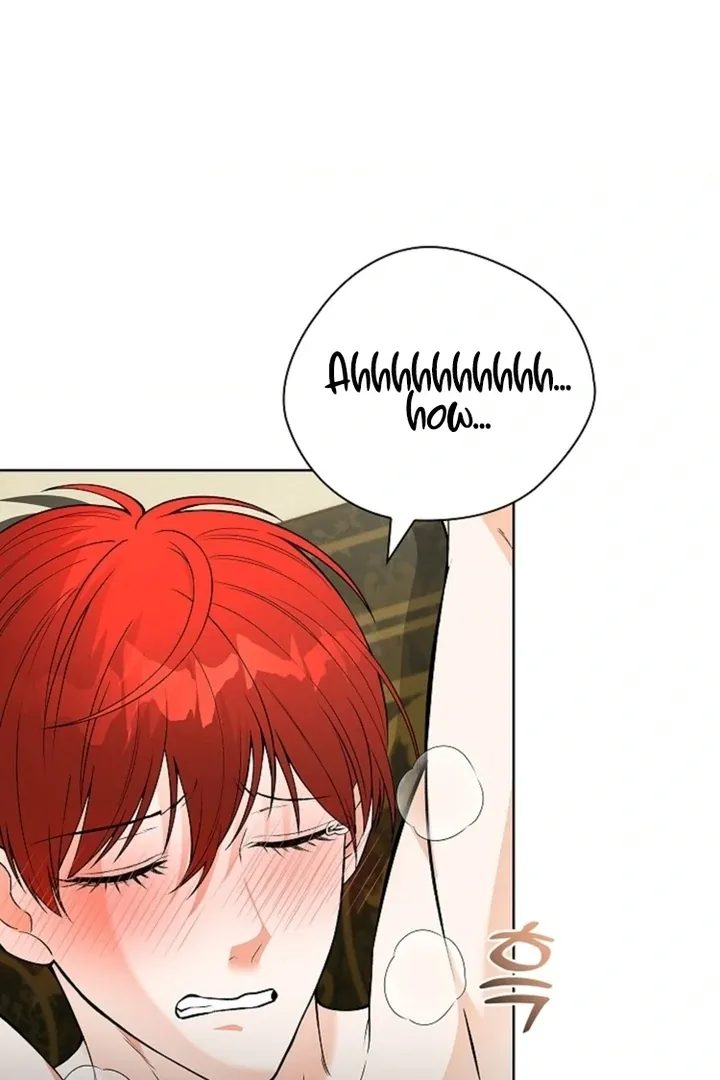 The Saintess’s Petals Become Wet chapter 12 page 4