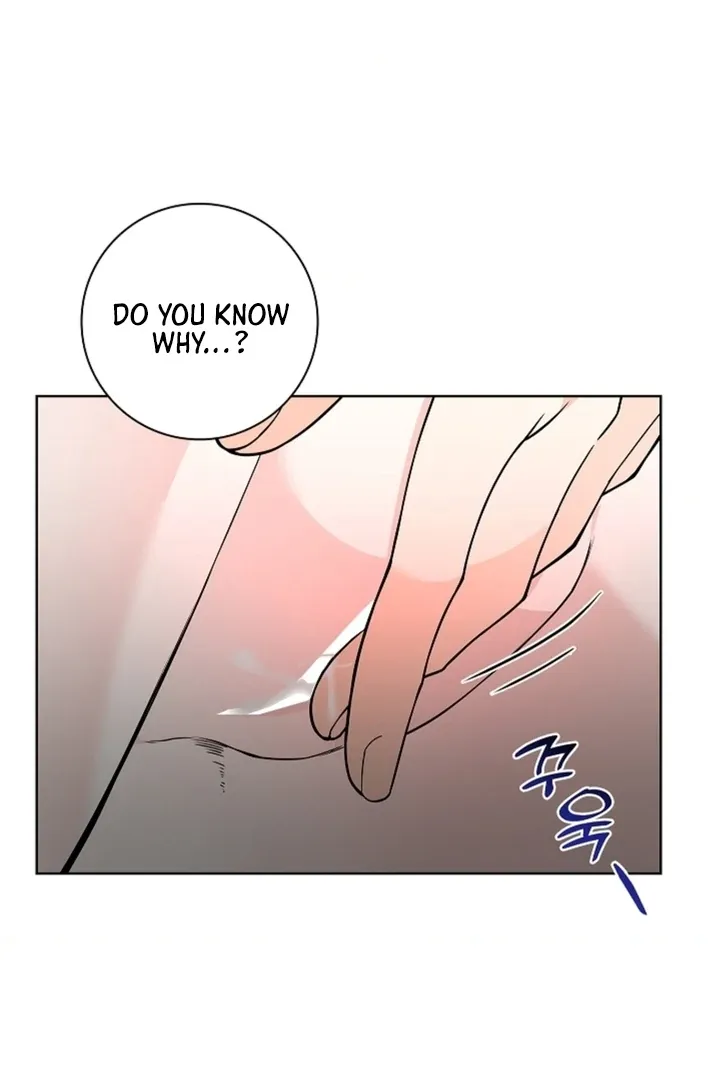 The Saintess’s Petals Become Wet chapter 13 page 78