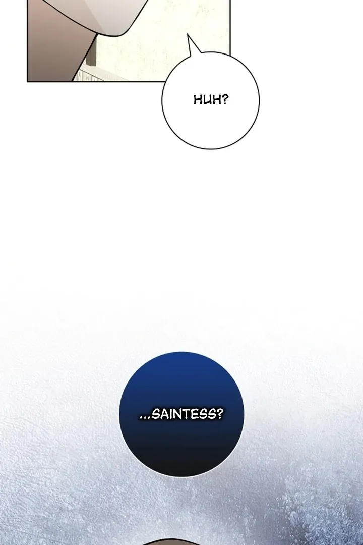 The Saintess’s Petals Become Wet chapter 14 page 107
