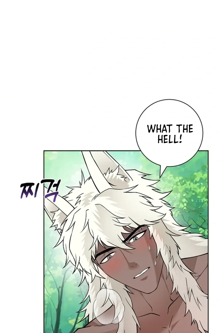 The Saintess’s Petals Become Wet chapter 16 page 5