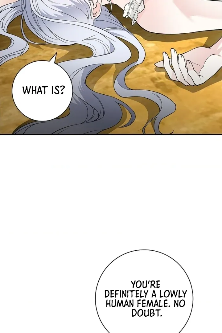 The Saintess’s Petals Become Wet chapter 17 page 52