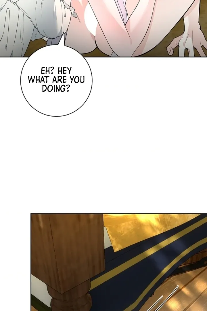 The Saintess’s Petals Become Wet chapter 17 page 29