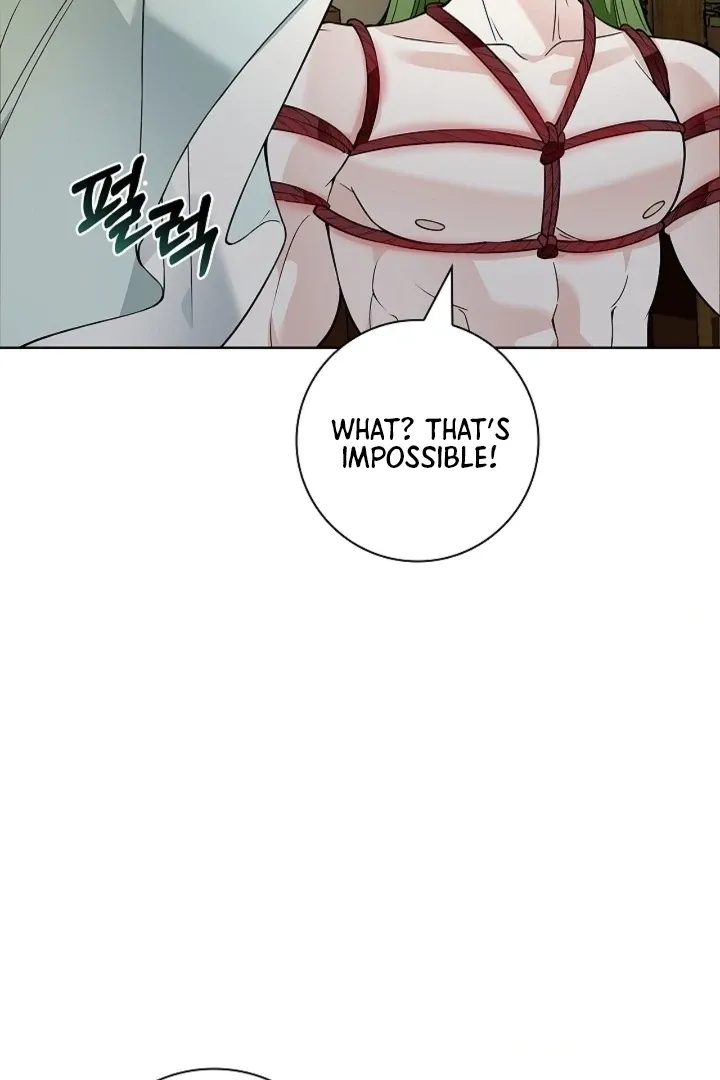 The Saintess’s Petals Become Wet chapter 18 page 25