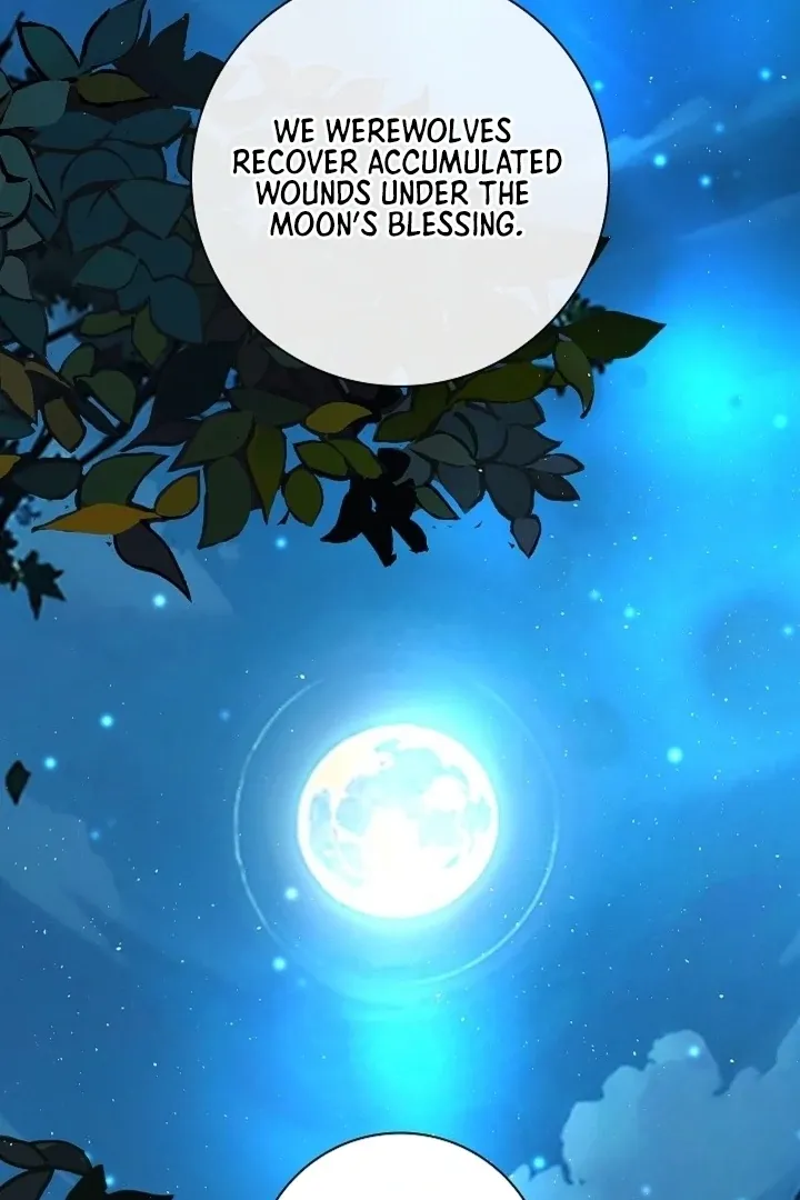 The Saintess’s Petals Become Wet chapter 19 page 66