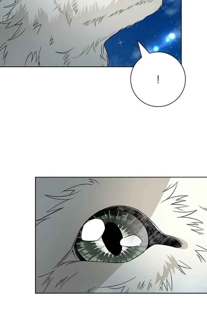 The Saintess’s Petals Become Wet chapter 19 page 53