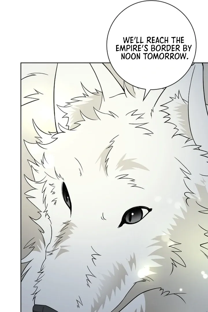 The Saintess’s Petals Become Wet chapter 19 page 43