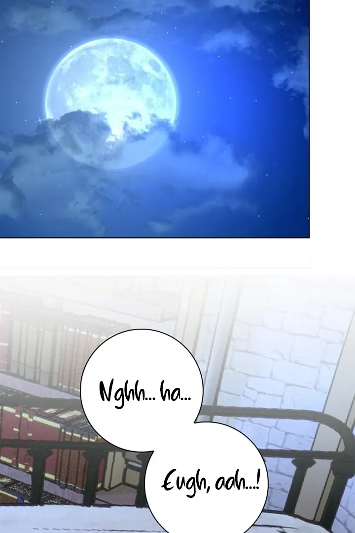 The Saintess’s Petals Become Wet chapter 27 page 33