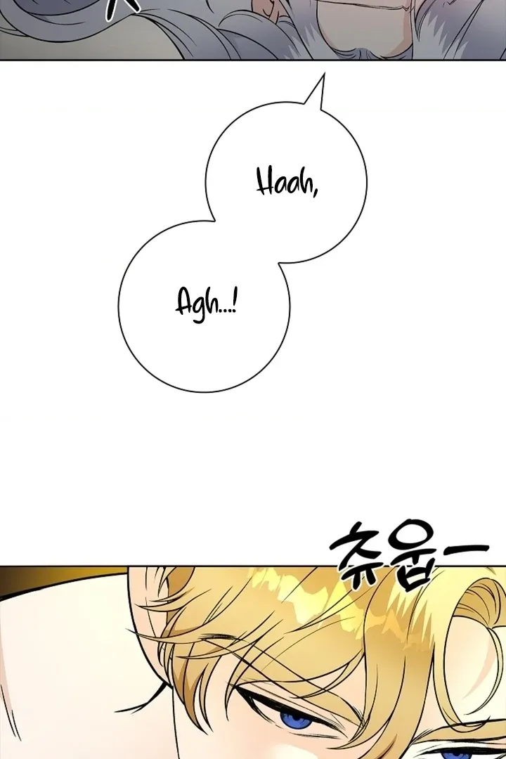The Saintess’s Petals Become Wet chapter 28 page 44
