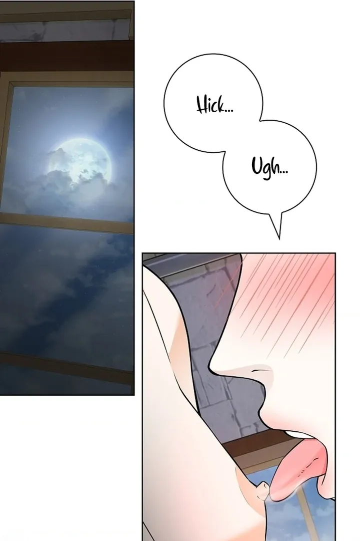 The Saintess’s Petals Become Wet chapter 29 page 28