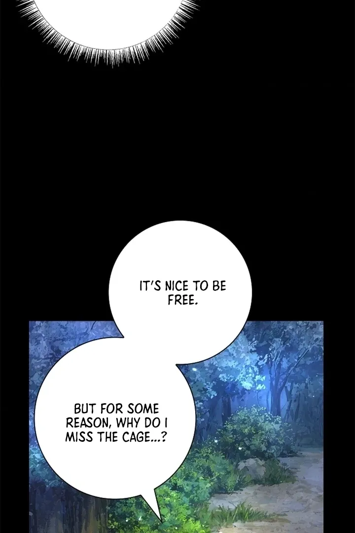 The Saintess’s Petals Become Wet chapter 30 page 23