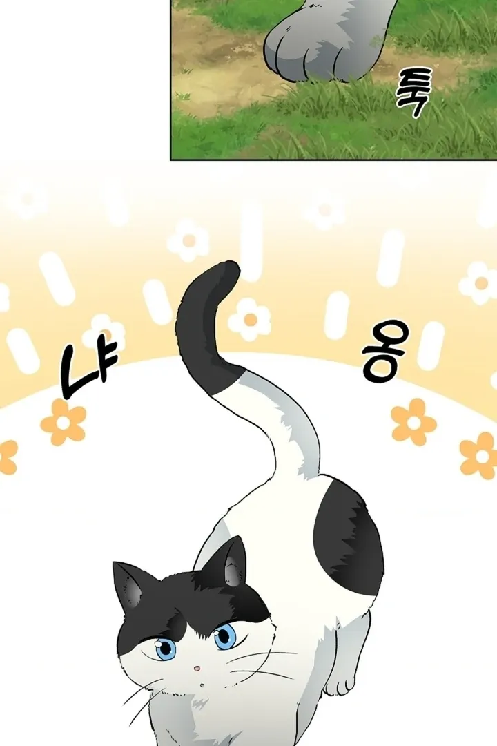 The Saintess’s Petals Become Wet chapter 32 page 78