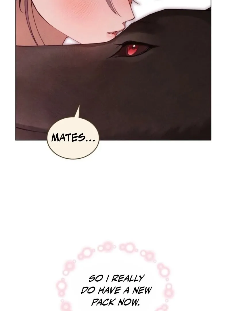 Wolf Groom chapter 16 page 45
