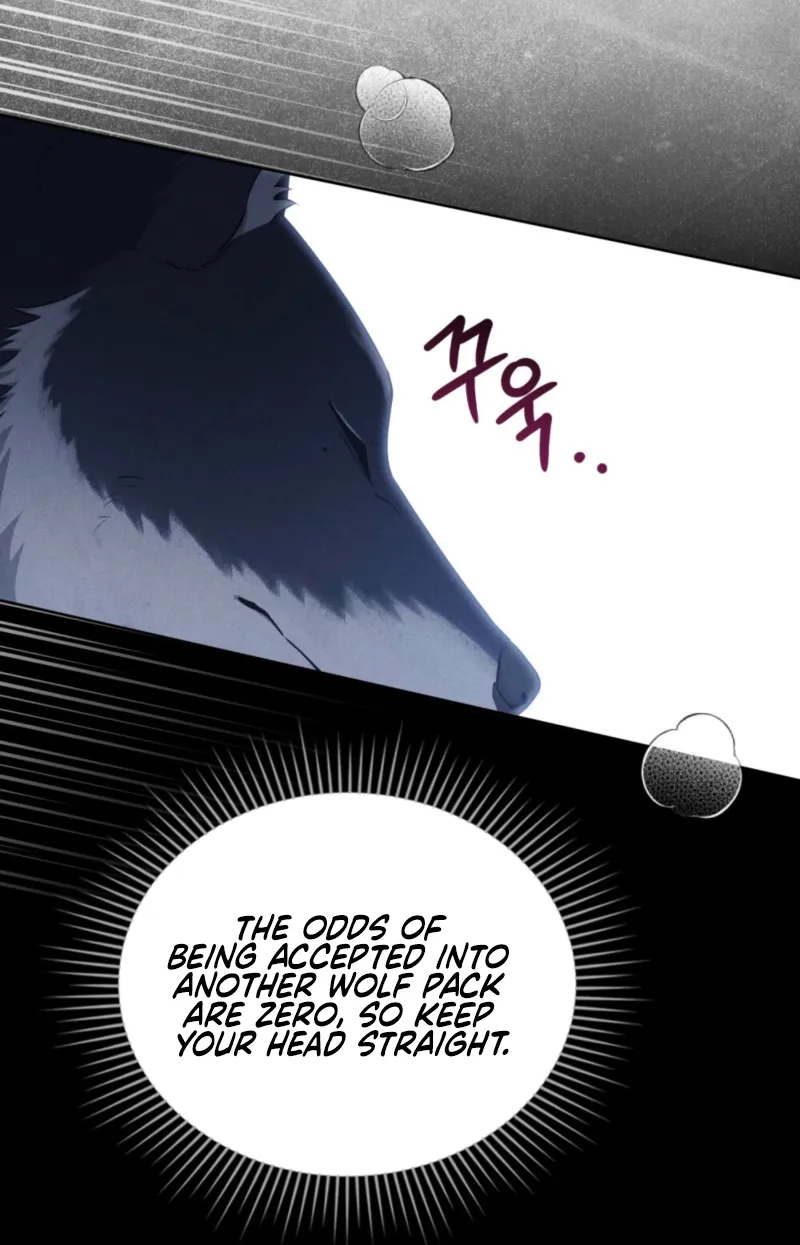 Wolf Groom chapter 4 page 81