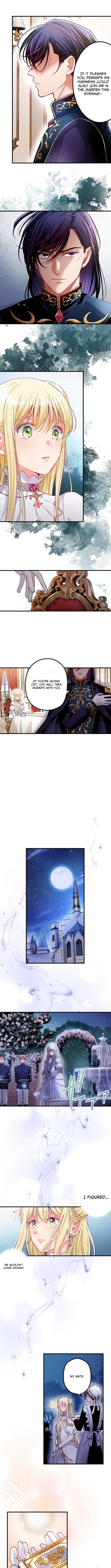 Because I’m the Unwanted Mate chapter 2 page 4
