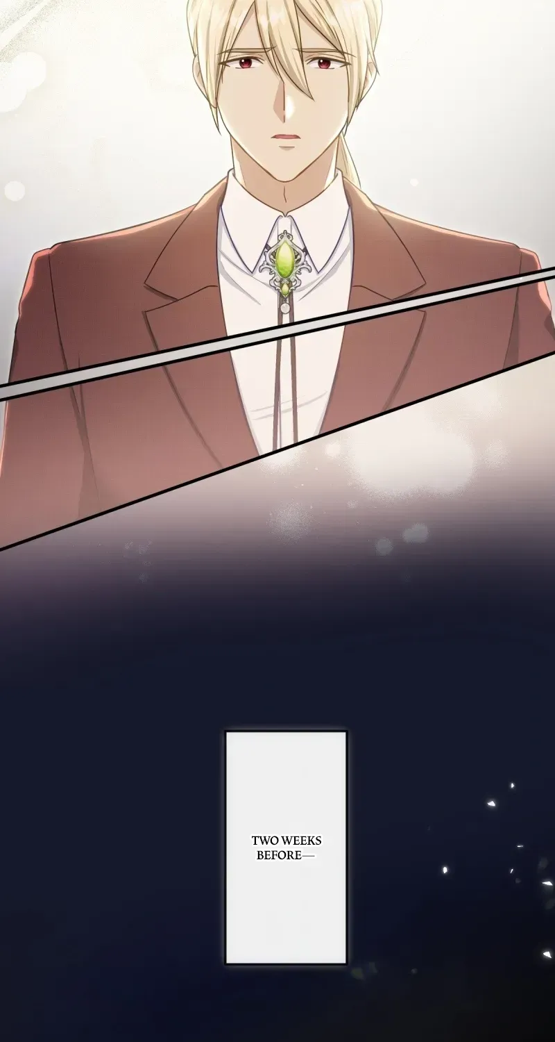 His Majesty Is My Ideal Boss! chapter 5 page 14