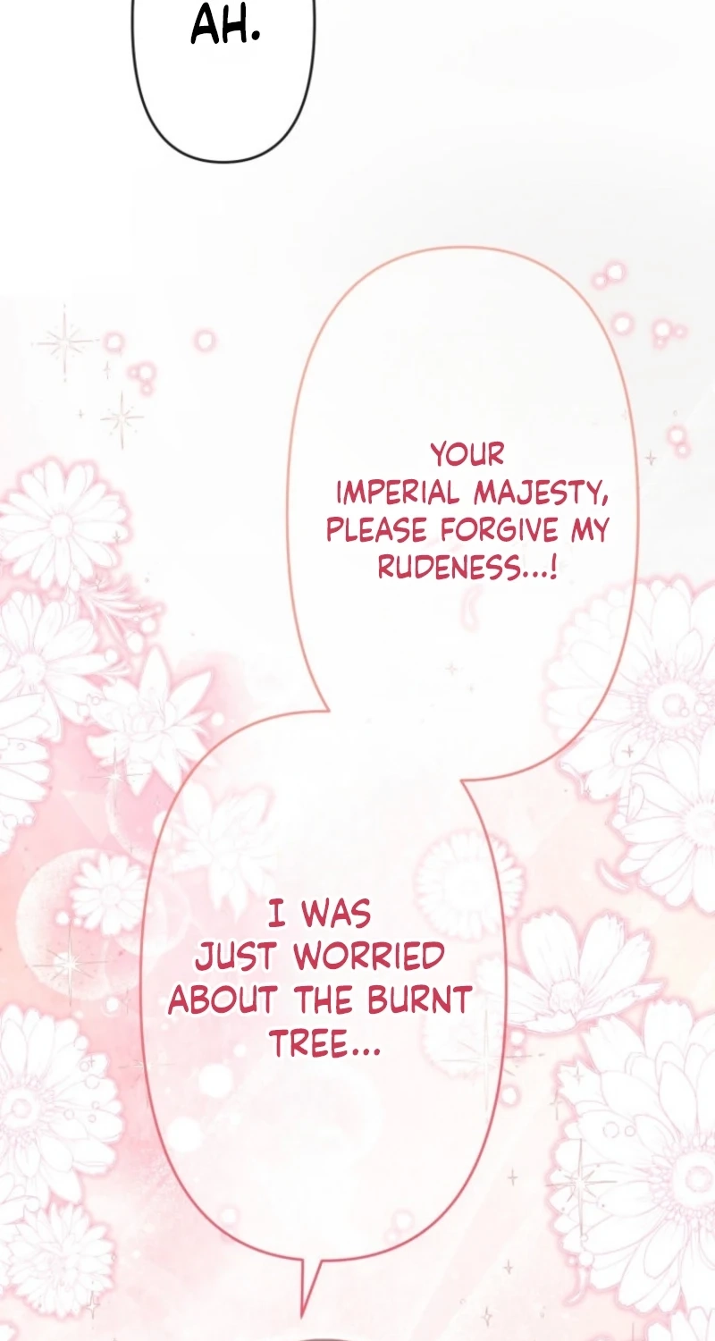 The Tyrant’s Obsession with the Dying Empress chapter 25 page 31
