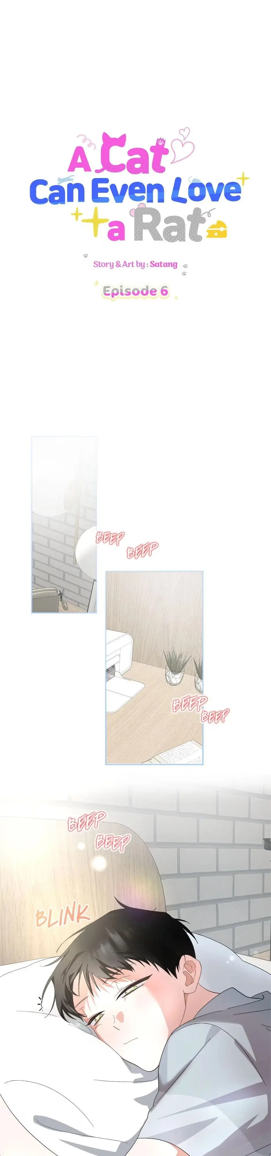 A Cat Can Even Love a Rat chapter 6 page 1