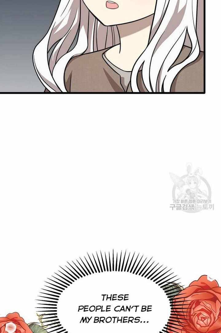 The Princess’ Dangerous Brothers chapter 2 page 17