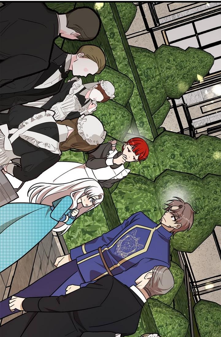 The Princess’ Dangerous Brothers chapter 21 page 49