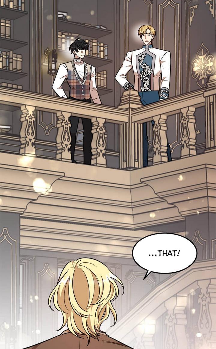 The Princess’ Dangerous Brothers chapter 25 page 41